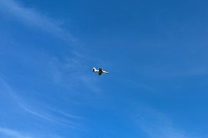 PXL_20250419_123650767
